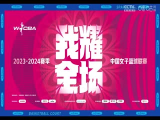 WCBA常规赛 辽宁双喜电器VS大庆安瑞达 20231111（哈秋）