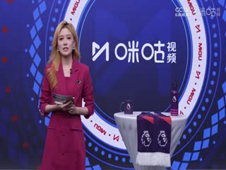 英超联赛 布莱顿VS阿森纳 20240407