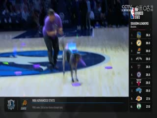 NBA常规赛 猛龙VS森林狼 20241027